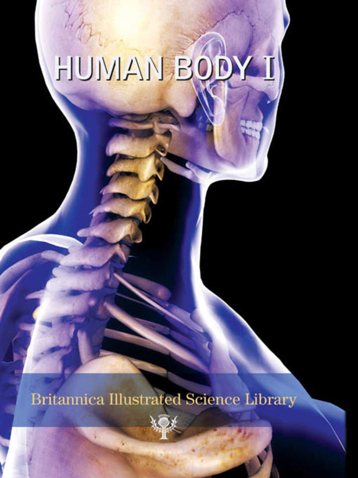 Human Body I Human Body I