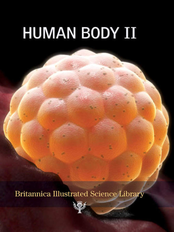 Human Body II Human Body II