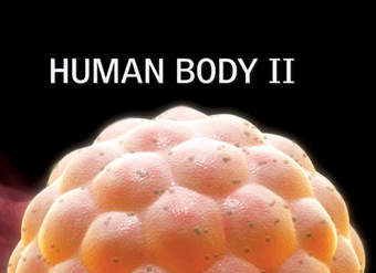 Human Body II Human Body II