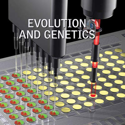 Evolution and Genetics Evolution and Genetics