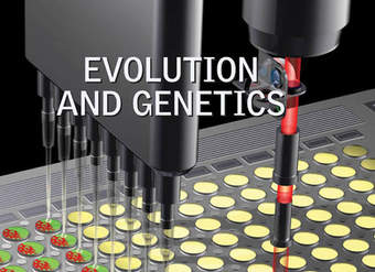 Evolution and Genetics Evolution and Genetics