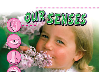 Our Senses Our Senses