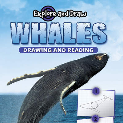 Whales Whales