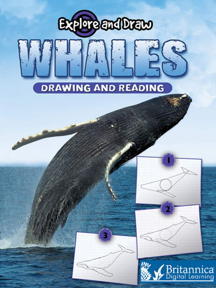 Whales Whales