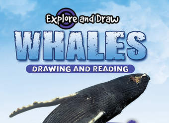 Whales Whales