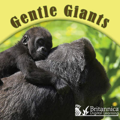 Gentle Giants Gentle Giants