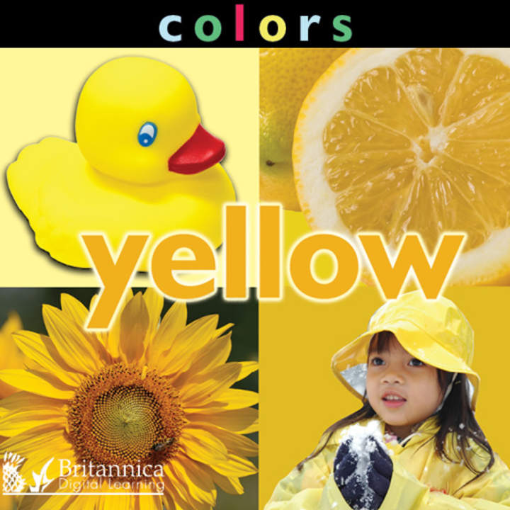Colors: Yellow Colors: Yellow