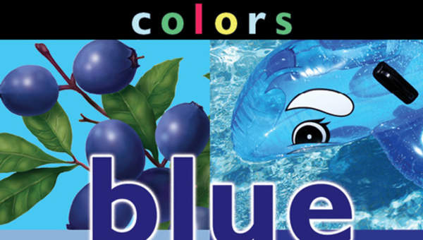 Colors: Blue Colors: Blue