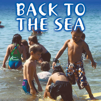 Back to the Sea Back to the Sea