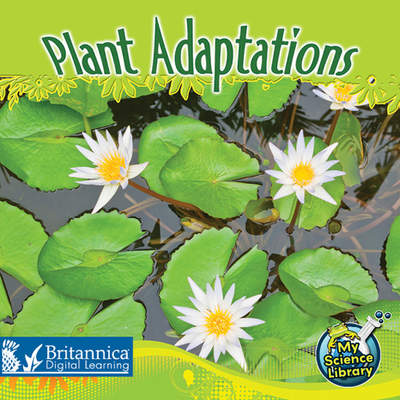 Plant Adaptations Plant Adaptations