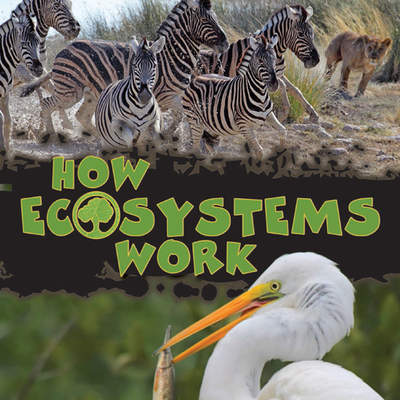How Ecosystems Work How Ecosystems Work