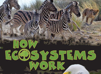 How Ecosystems Work How Ecosystems Work