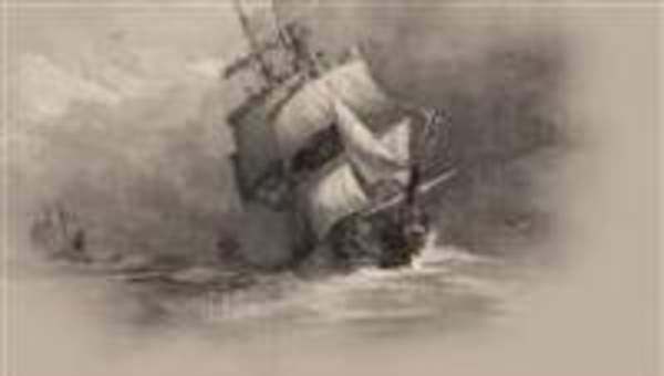 Viaje de un naturalista alrededor del mundo Viaje de un naturalista alrededor del mundo