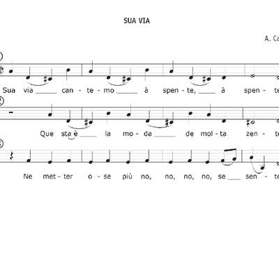 Reperotorio Sua Vía Reperotorio Sua Vía