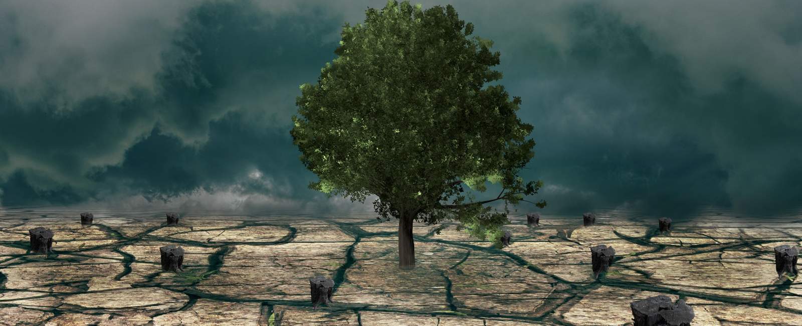 Innovación - Cambio climático Innovación - Cambio climático