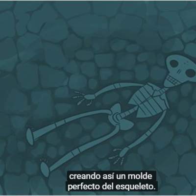 ¿Qué son y qué nos dicen los fósiles? ¿Qué son y qué nos dicen los fósiles?