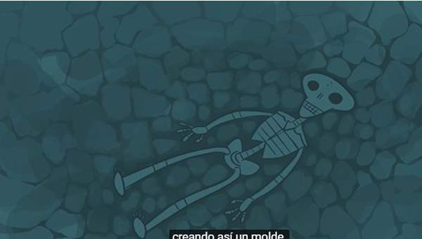 ¿Qué son y qué nos dicen los fósiles? ¿Qué son y qué nos dicen los fósiles?