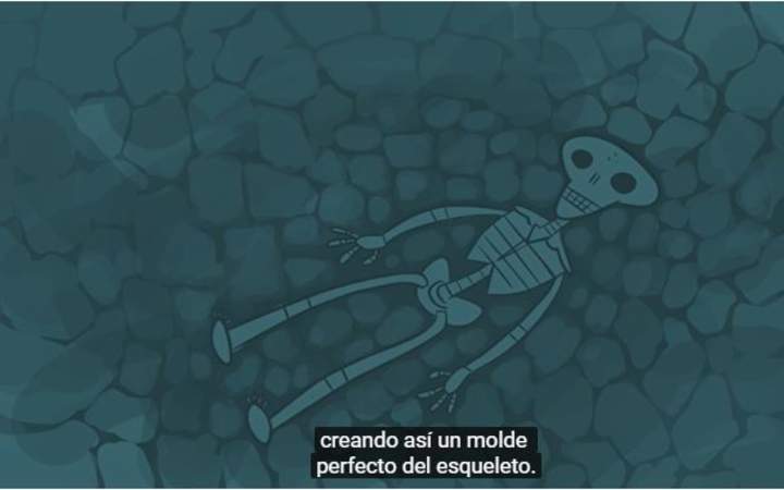 ¿Qué son y qué nos dicen los fósiles? ¿Qué son y qué nos dicen los fósiles?