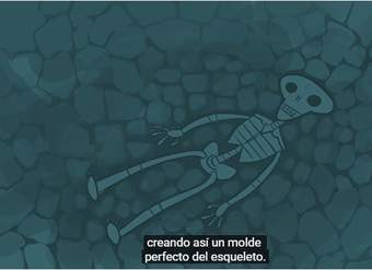 ¿Qué son y qué nos dicen los fósiles? ¿Qué son y qué nos dicen los fósiles?