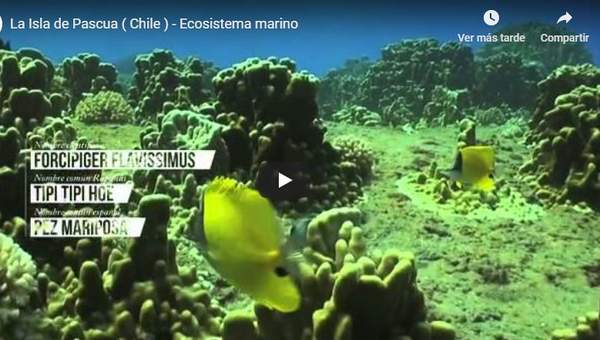 Niveles de organización Niveles de organización