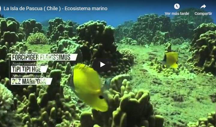 Niveles de organización Niveles de organización