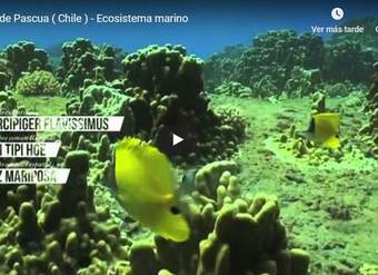 Niveles de organización Niveles de organización