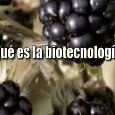 Biotecnología Biotecnología