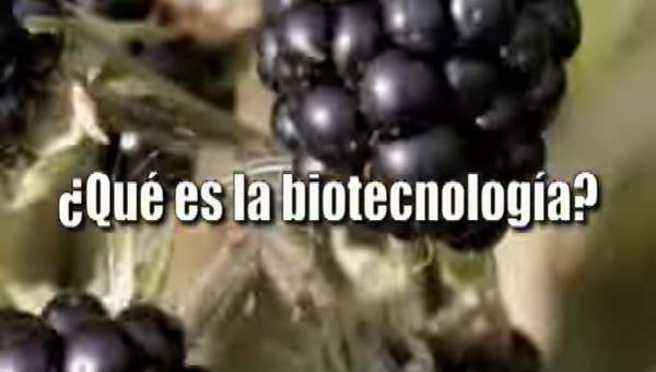 Biotecnología Biotecnología