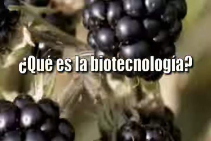 Biotecnología Biotecnología
