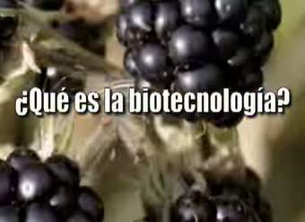 Biotecnología Biotecnología