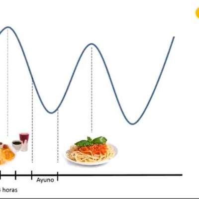 Homeostasis Homeostasis