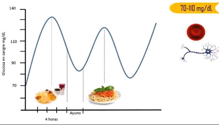 Homeostasis Homeostasis