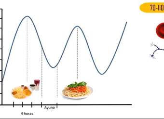 Homeostasis Homeostasis