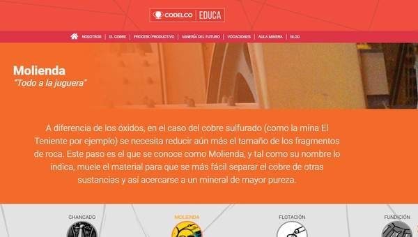 Molienda “Todo a la juguera"