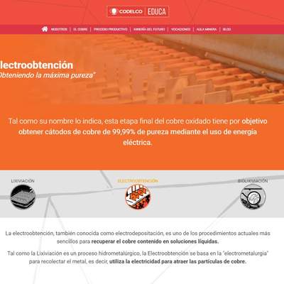 Electroobtención. "Obteniendo la máxima pureza" Electroobtención. "Obteniendo la máxima pureza"