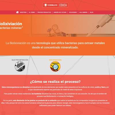 Biolixiviación "Bacterias mineras” Biolixiviación "Bacterias mineras”