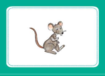 There is a mouse There is a mouse