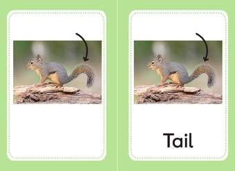 Tail Tail