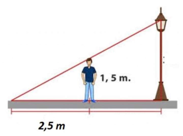 Teorema de Thales Teorema de Thales