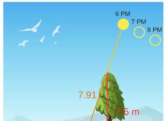 Función como cambio lineal Función como cambio lineal