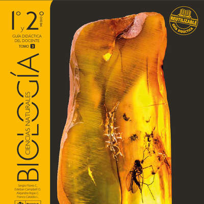 Biología 1° y 2° medio, Santillana, Guía didáctica del docente Tomo 3 Biología 1° y 2° medio, Santillana, Guía didáctica del docente Tomo 3
