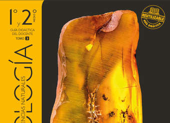 Biología 1° y 2° medio, Santillana, Guía didáctica del docente Tomo 3 Biología 1° y 2° medio, Santillana, Guía didáctica del docente Tomo 3