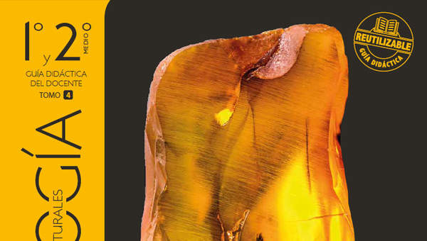 Biología 1° y 2° medio, Santillana, Guía didáctica del docente Tomo 4 Biología 1° y 2° medio, Santillana, Guía didáctica del docente Tomo 4