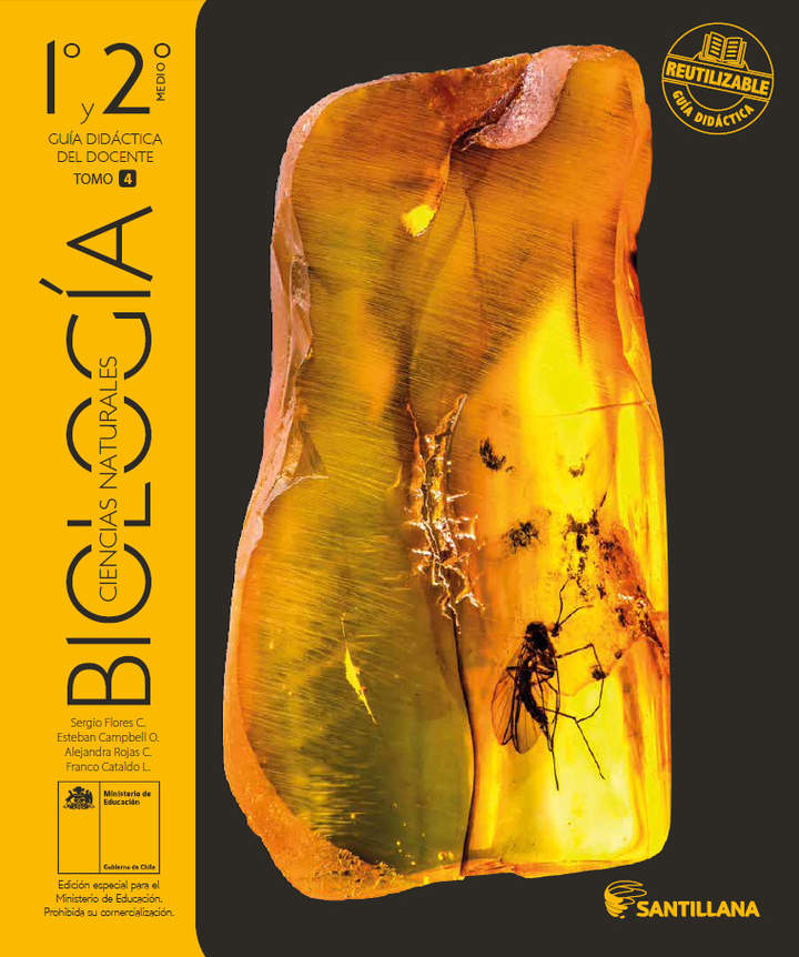 Biología 1° y 2° medio, Santillana, Guía didáctica del docente Tomo 4 Biología 1° y 2° medio, Santillana, Guía didáctica del docente Tomo 4