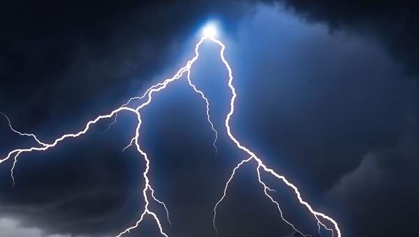 Ciencias Naturales 8° Básico, Texto del estudiante - Portada Texto Ciencias Naturales 8° Básico, Texto del estudiante - Portada Texto