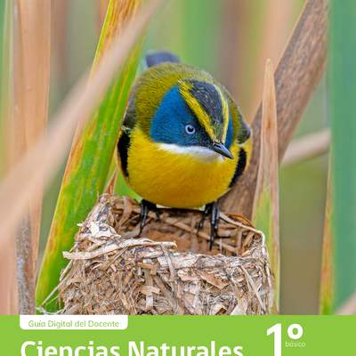 Ciencias Naturales 1° Básico, Portada Guía didáctica del docente Tomo 1 Ciencias Naturales 1° Básico, Portada Guía didáctica del docente Tomo 1