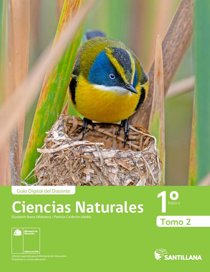 Ciencias Naturales 1° Básico, Portada Guía didáctica del docente Tomo 2 Ciencias Naturales 1° Básico, Portada Guía didáctica del docente Tomo 2