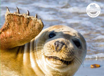 Ciencias Naturales 6º básico, Santillana, Guía didáctica del docente Tomo 2 Ciencias Naturales 6º básico, Santillana, Guía didáctica del docente Tomo 2