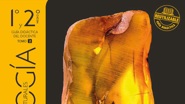 Biología 1° y 2° medio, Santillana, Guía didáctica del docente Tomo 2 Biología 1° y 2° medio, Santillana, Guía didáctica del docente Tomo 2