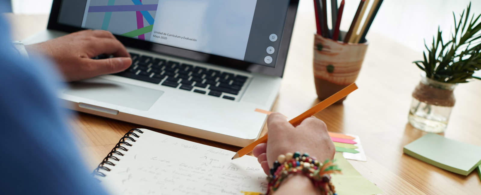 Currículum transitorio Currículum transitorio